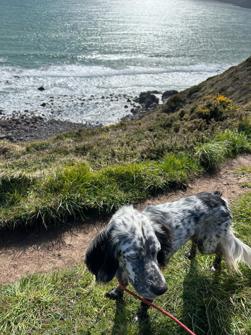 Cadgwith