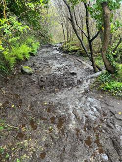 muddy footpath conditions coast path cornwall