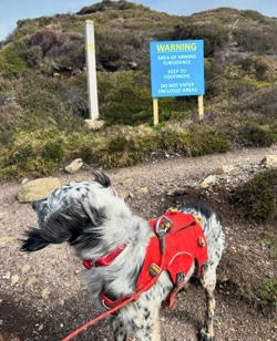 coast path hazard